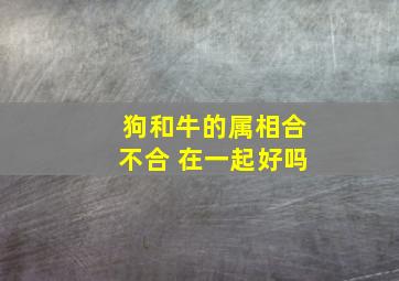 狗和牛的属相合不合 在一起好吗